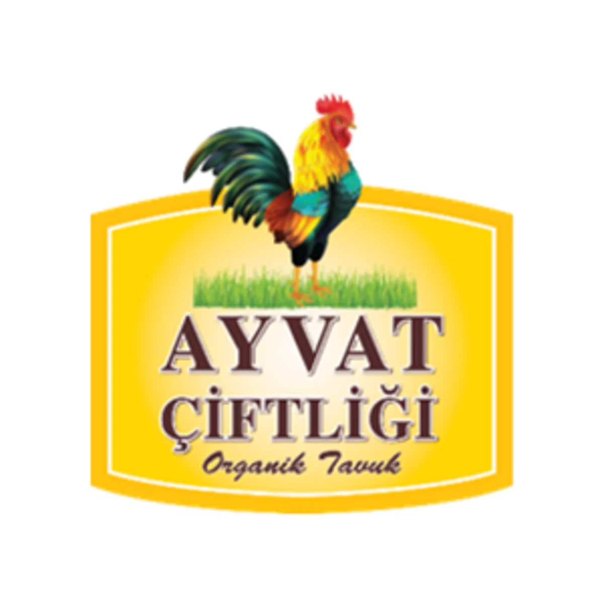 AYVAT ORGANİK GIDA TARIM ÜRÜNLERİ İTHALAT VE İHRACAT LTD.ŞTİ.